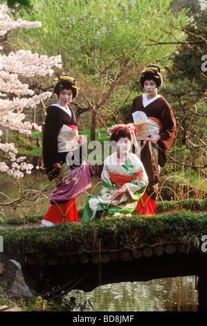 Drei Geisha-Frauen in bunten Kimonos in Tokio Park auf Brücke über Teichen umgeben von Kirschbaum im April Stockfoto