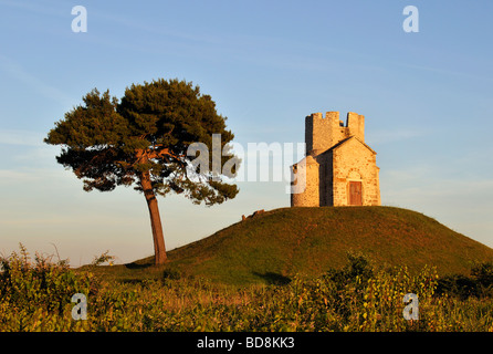 Baum und romanische St. Nicolas Nicola Kirche befindet sich auf irden Hügel in Bereichen der Prahulje in der Nähe von Nin in Dalmatien Kroatien Stockfoto