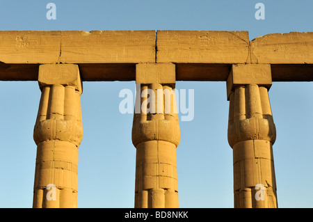 Architrav und Kapitellen der Säulen der geschlossenen Papyriform Papyrus der großen Sonne Hof von Amenhotep III im Luxor-Tempel-Ägypten Stockfoto