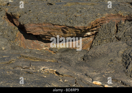 Zerklüftete Pahoehoe Lava Sullivan Bay Insel Santiago Galapagos Ecuador Pazifischen Ozean Stockfoto