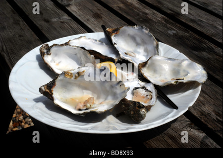 Leeren Austernschalen auf einer Platte in einem Fischrestaurant Stockfoto