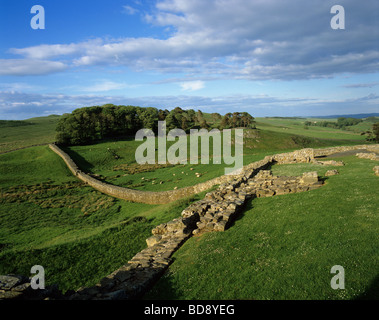 Ansicht des Hadrian Wall von Housesteads in der Nähe der alten römischen Kastells Vercovicium Stockfoto