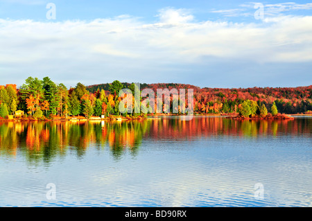 Wald von bunten Herbst Bäume reflektiert in ruhiger See Stockfoto