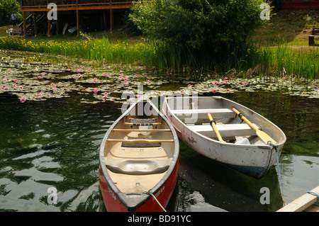 Boote unter den Seerosen an der schönen und ruhigen Holländer See in Clearwater, Britisch-Kolumbien, Kanada Stockfoto