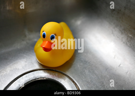 Gummiente sitzen in einem metallischen Waschbecken Stockfoto