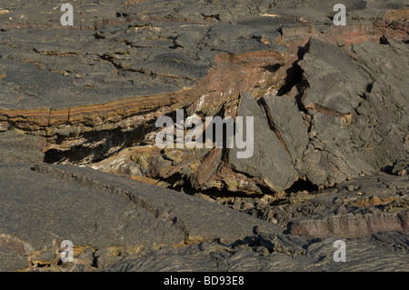 Zerklüftete Pahoehoe-Lava, Sullivan Bay Santiago Insel Galapagos Ecuador Pazifik Südamerika Mai Stockfoto