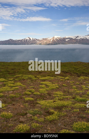 Eyjafjordur Sound Akureyri Island Stockfoto