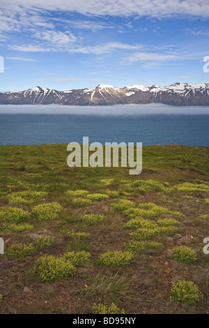 Eyjafjordur Sound Akureyri Island Stockfoto