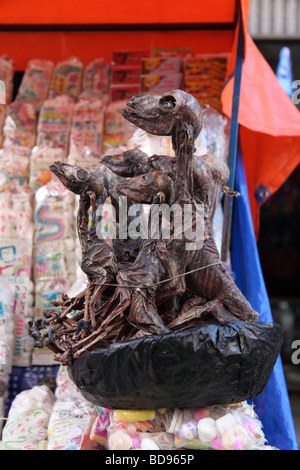 Getrocknete Lama Föten (vor Ort Sullus genannt) zum Verkauf an einem Straßenstand in Witches Market, La Paz, Bolivien Stockfoto