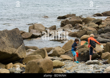 Jungen mit Netzen und Eimer gehen "Rockpooling" an der Küste in der Nähe von Mousehole, Cornwall Stockfoto