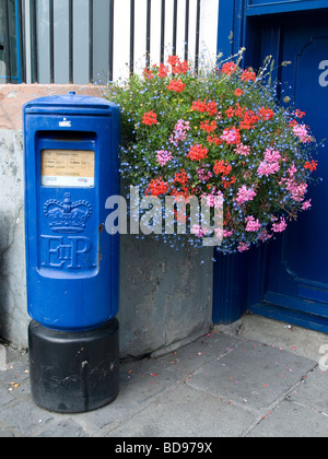 Ein blauer Briefkasten mit einer großen Blumen Blumenampel in St Peter Port Guernsey Channel Islands Stockfoto