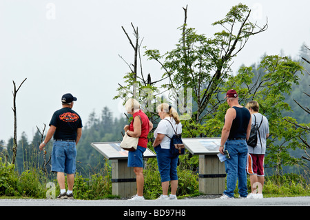 Lesen informative Beschilderung im Clingmans Dome in den Great Smoky Mountains National Park in North Carolina Touristen Stockfoto