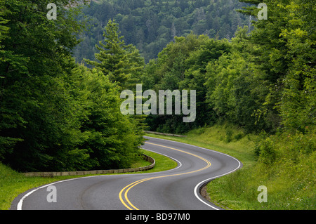 Kurvenreiche Straße durch den Great Smoky Mountains National Park in North Carolina Stockfoto