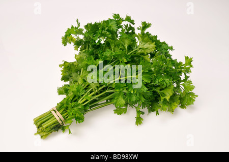 Handvoll frische flachen Blatt Petersilie auf weißem Hintergrund. Stockfoto