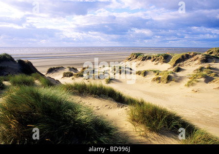 Formby Dünen Lancashire englischen Küste Sand Sandstrand Küstenlandschaft England UK Strand Dünengebieten Grass Meer Meer Stockfoto