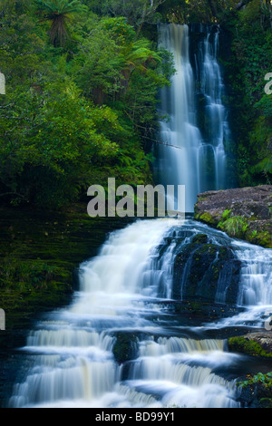 Neuseeland Southland fällt die Catlins Matai in den Catlins Forest Park Stockfoto