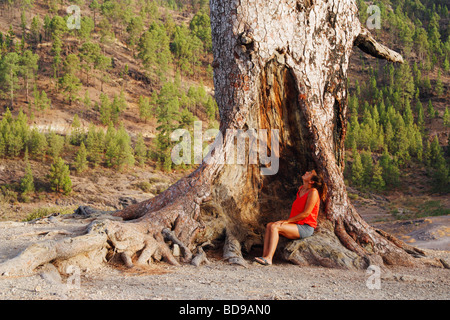 Weiblicher Wanderer auf Gran Canaria, Kanarische Inseln, Spanien, am Fuß der großen kanaren-kiefer. Schinrin Yoku/Waldbaden. Stockfoto