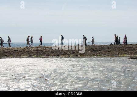 Besucher, die über den Damm nach St. Michaels Mount bei Ebbe, Cornwall, UK Stockfoto