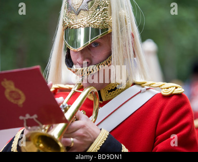 Ein Musiker aus der Königin Life Guard Band nach dem Wechsel der Wache, Buckingham Palace, London, Großbritannien Stockfoto