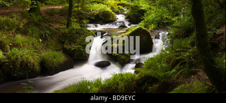 Kaskaden im Kennall Vale Nature Reserve Cornwall England UK Stockfoto