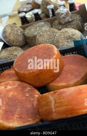 Räder von Schafen Käse (Pecorino) zum Verkauf an einen Hersteller-Markt in der Region bekannt als die Garfagnana in der Toskana Stockfoto