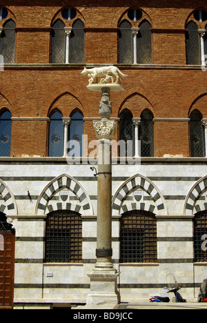 Die Wölfin Symbol von Siena auf einem Sockel auf den Stufen des Doms vor Santa Maria della Scala Stockfoto