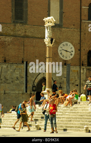 Die Wölfin Symbol von Siena auf einem Sockel auf den Stufen des Doms vor Santa Maria della Scala Stockfoto