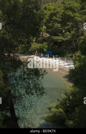 Liebe Bay Beach auf der Insel Poros, umrahmt von Pinien im Saronischen Golf, Griechenland Stockfoto