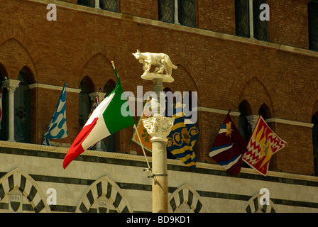 Die Wölfin Symbol von Siena auf einem Podest vor Santa Maria della Scala Stockfoto