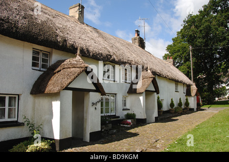 Strohgedeckten Hütten in North Bovey Village Dartmoor Nationalpark Devon England Stockfoto