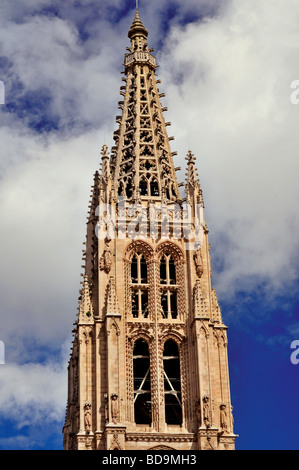 Spanien, Castilla-León: Turm der Kathedrale Santa Maria von Burgos Stockfoto