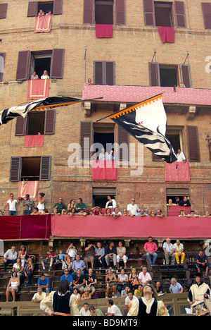 Flaggen der Wölfin Contrada - Siena Palio, eine zweimal jährliche Veranstaltung von Prunk und Pferderennen Stockfoto