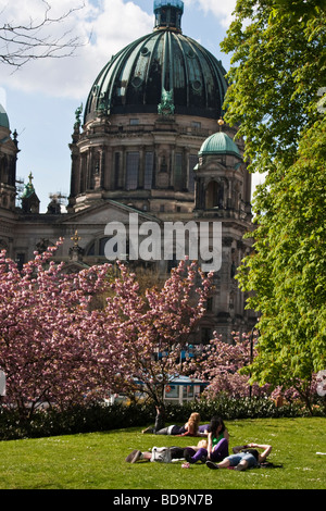 Junge Menschen entspannen im Park nahe Berliner Dom im Frühjahr Stockfoto