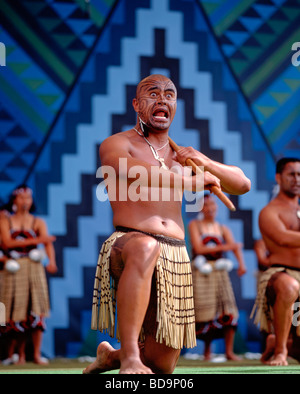 Rotorua Maori Arts Festival Maori Hakka Tanz Stockfoto