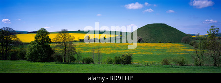 Der alte Mann machte neolithischen Kreidehügel von Silbury Hill umgeben von Feldern von Löwenzahn und Raps in der Nähe von Avebury, Wiltshire, England. Stockfoto