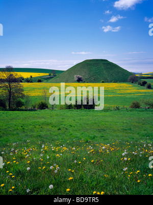 Der alte Mann machte neolithischen Kreidehügel von Silbury Hill umgeben von Feldern von Löwenzahn und Raps in der Nähe von Avebury, Wiltshire, England. Stockfoto