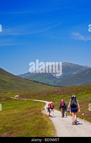 Eine weitläufige Club Wandern im Glen Lui in der Nähe von Braemar Stockfoto