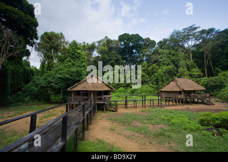 Maipaima Eco-Lodge tief in abgelegenen Regenwald, Nappi Dorf Kanuku Bergen, Guyana. Stockfoto