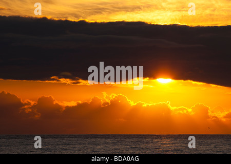 Sonnenuntergang Sonne hinter Wolken über Meer mit Seevogel im Sommer Cornwall England UK GB Vereinigtes Königreich Großbritannien britische Inseln Stockfoto