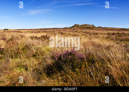 Ein Blick auf des Teufels Stuhl, einem Felsvorsprung auf dem Stiperstones Grat, Shropshire Stockfoto