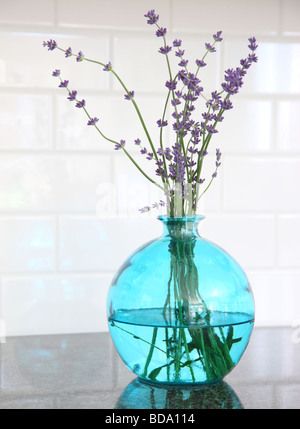 Lavendel in blauem Glasvase Stockfoto