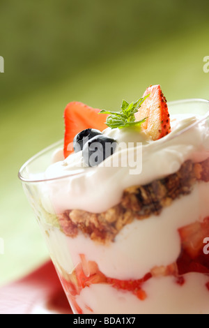 Erdbeer-Joghurt-Parfait mit Müsli in einem Glas Stockfoto
