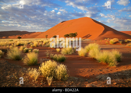 Landschaft mit Wüste Gräser, große Sanddüne und Himmel mit Wolken, Sossusvlei, Namibia, Südliches Afrika Stockfoto