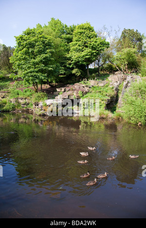 Der japanischen See Hebel Gärten, Rivington, Lancashire, UK Stockfoto