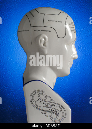 Nahaufnahme von Phrenologie Kopf Diagramm Stockfoto