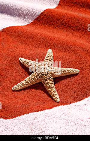 Seestern Auf Einem Badehandtuch Seestern auf einem Badetuch Stockfoto