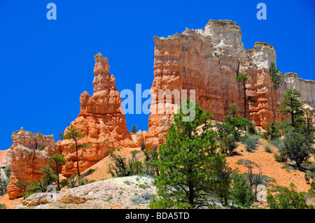 Hoodoos über moosige Höhle-Trail in Utah, USA Stockfoto