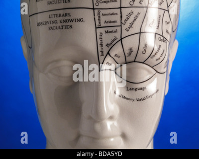 Nahaufnahme von Phrenologie Kopf Diagramm Stockfoto