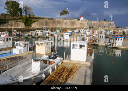 Teller, flache Auster Boote im Hafen von Château günstig d'Oléron, Ile d'Oléron, Frankreich. Stockfoto