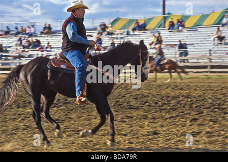 Mann auf dem Pferd in der Arena der Kirmes Beurteilung Stockfoto